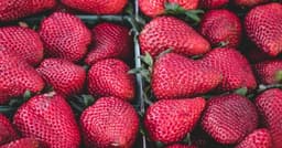 Nano Banana 2: The World's Smallest Smart Fruit Just Got Upgraded