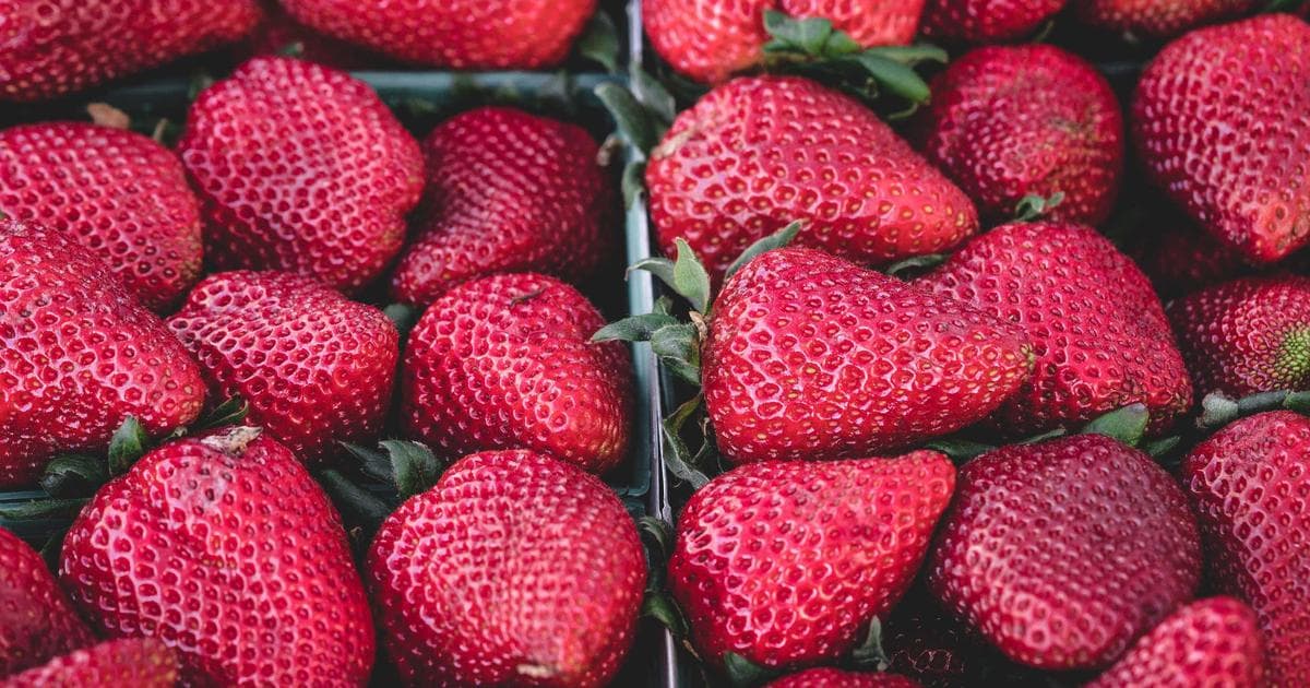 Nano Banana 2: The World's Smallest Smart Fruit Just Got Upgraded